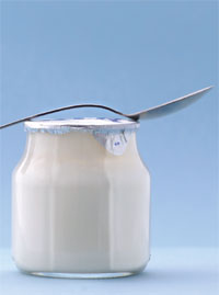 How To Use Probiotics For Urinary Tract Infection Treatment